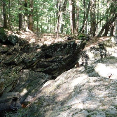 Rice Preserve - Cold Brook Trail