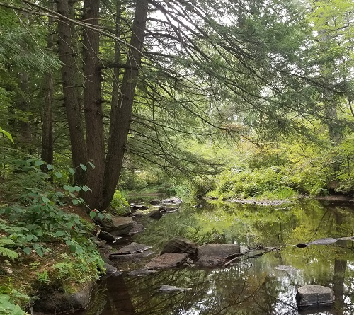 PLC Easement Will Protect New Boston’s Town Forests
