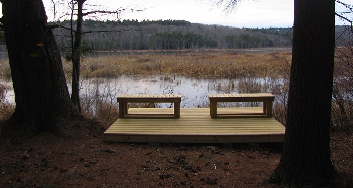 Saunders Pasture