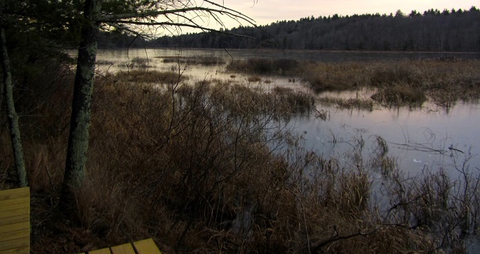 Saunders Pasture