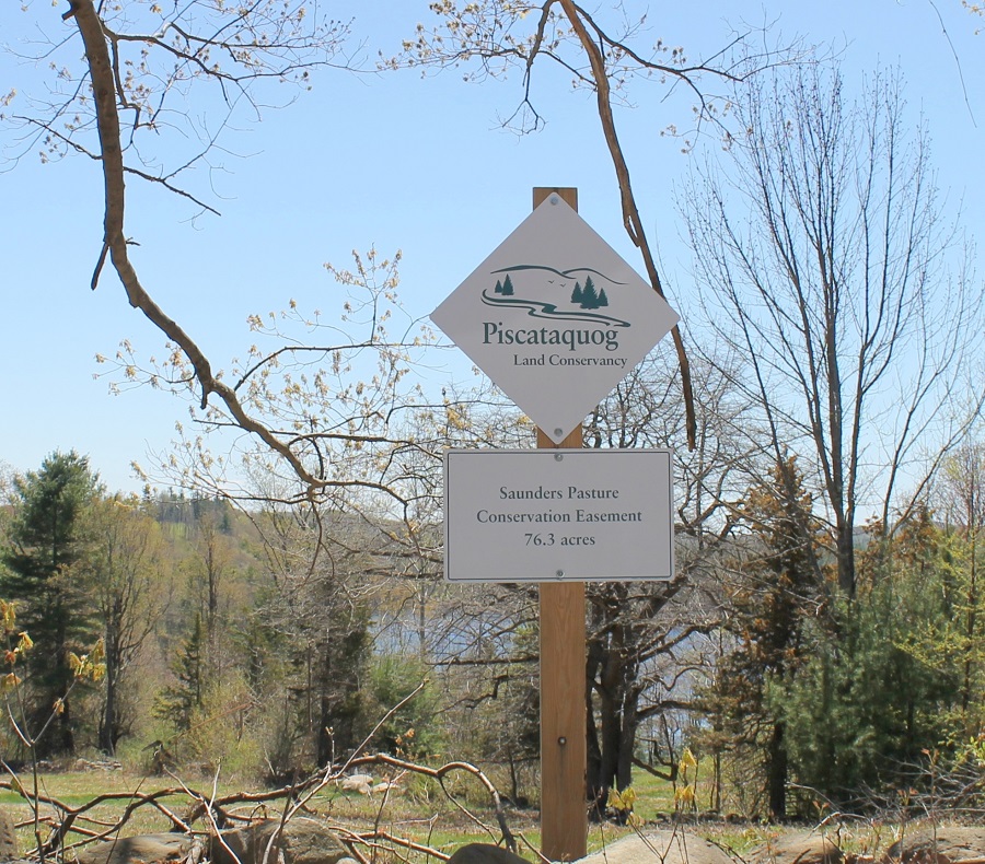 Trail at Tuthill Preserve