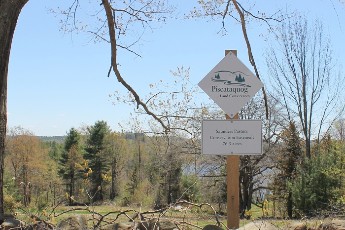 Saunders Pasture Conservation Area