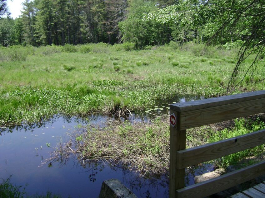 Potanipo Rail Trail