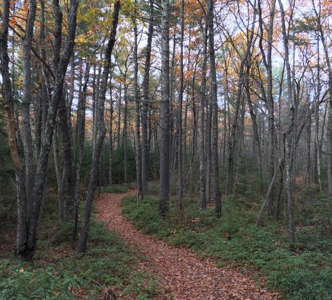 Hobart-Fessenden Woods