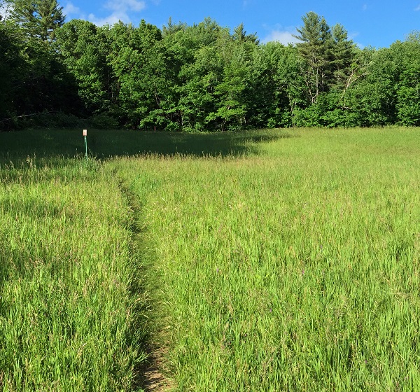 PLC Launches Trails Webpage