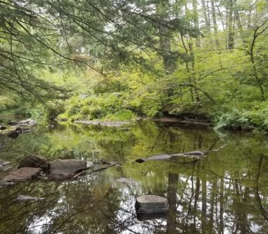 Conservation Easement Protects New Boston Town Forests