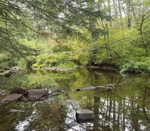 Conservation Easement Protects New Boston Town Forests